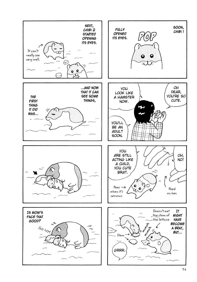 Page 10 Chapter 25 Hamster Research Report