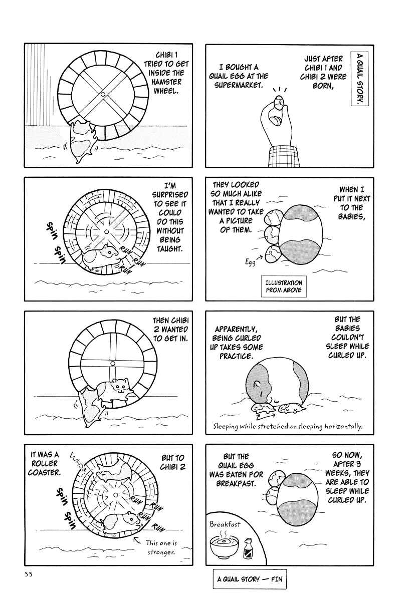 Page 11 Chapter 25 Hamster Research Report