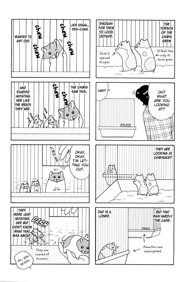 Page 13 Chapter 25 Hamster Research Report