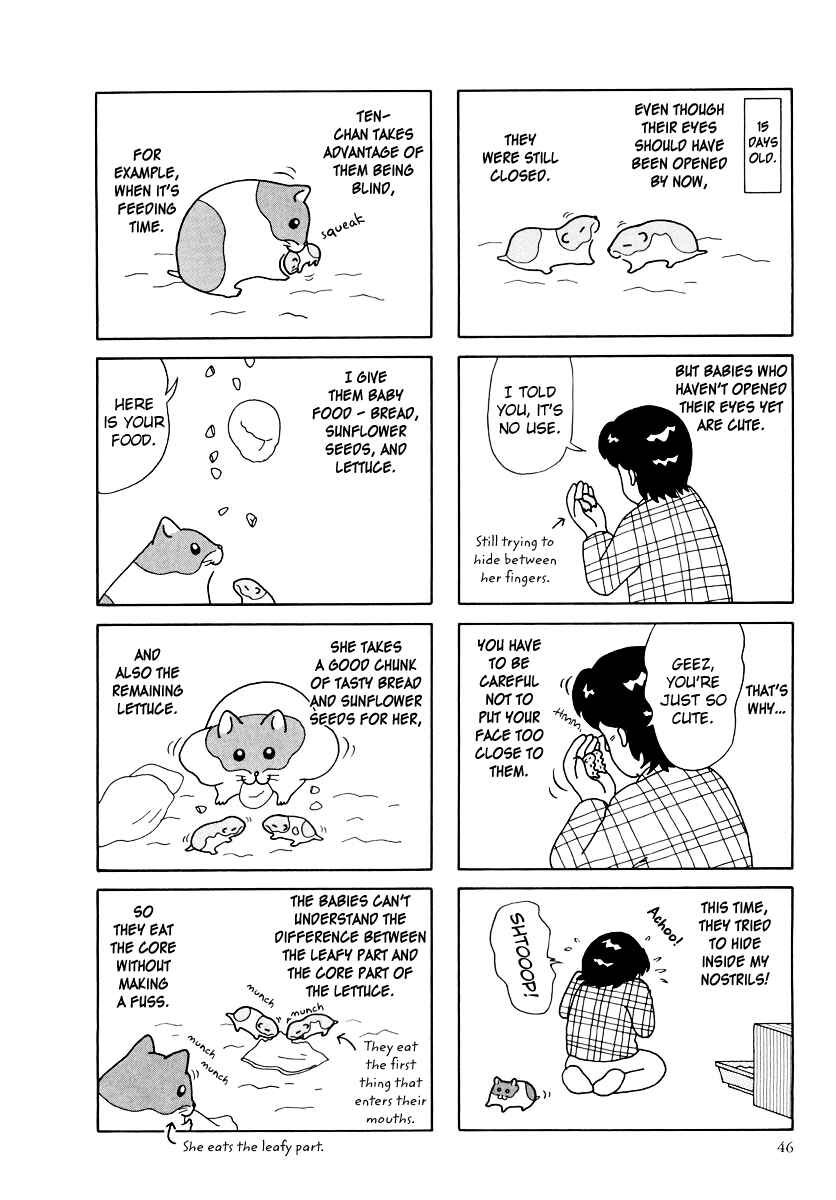 Page 2 Chapter 25 Hamster Research Report