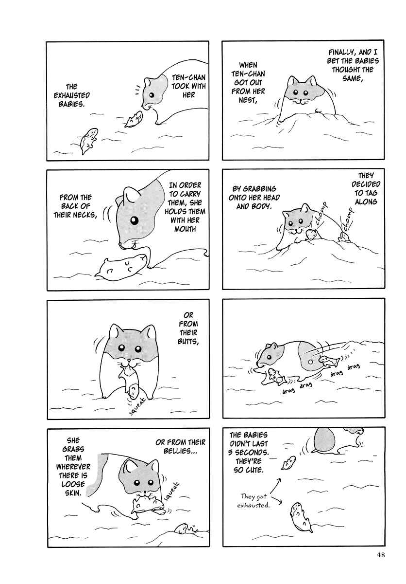 Page 4 Chapter 25 Hamster Research Report
