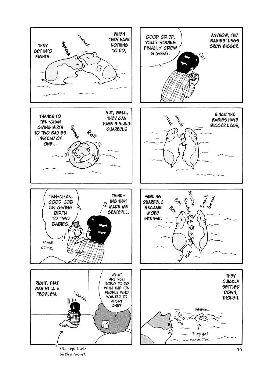 Page 6 Chapter 25 Hamster Research Report