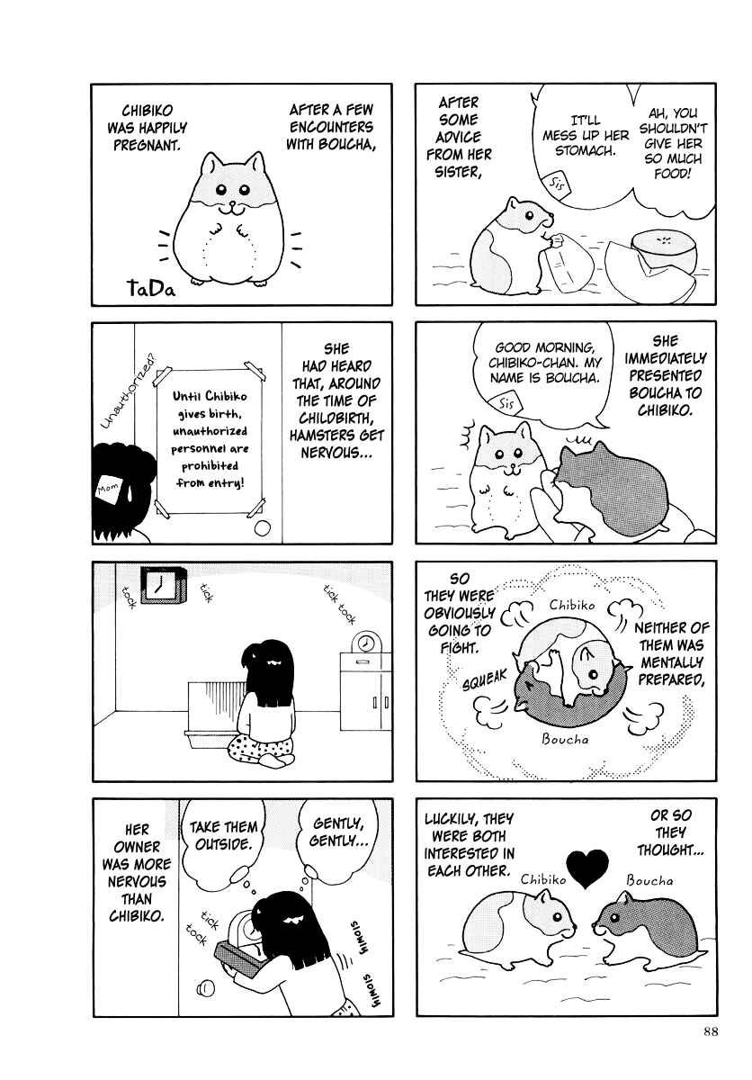 Page 4 Chapter 34 Hamster Research Report