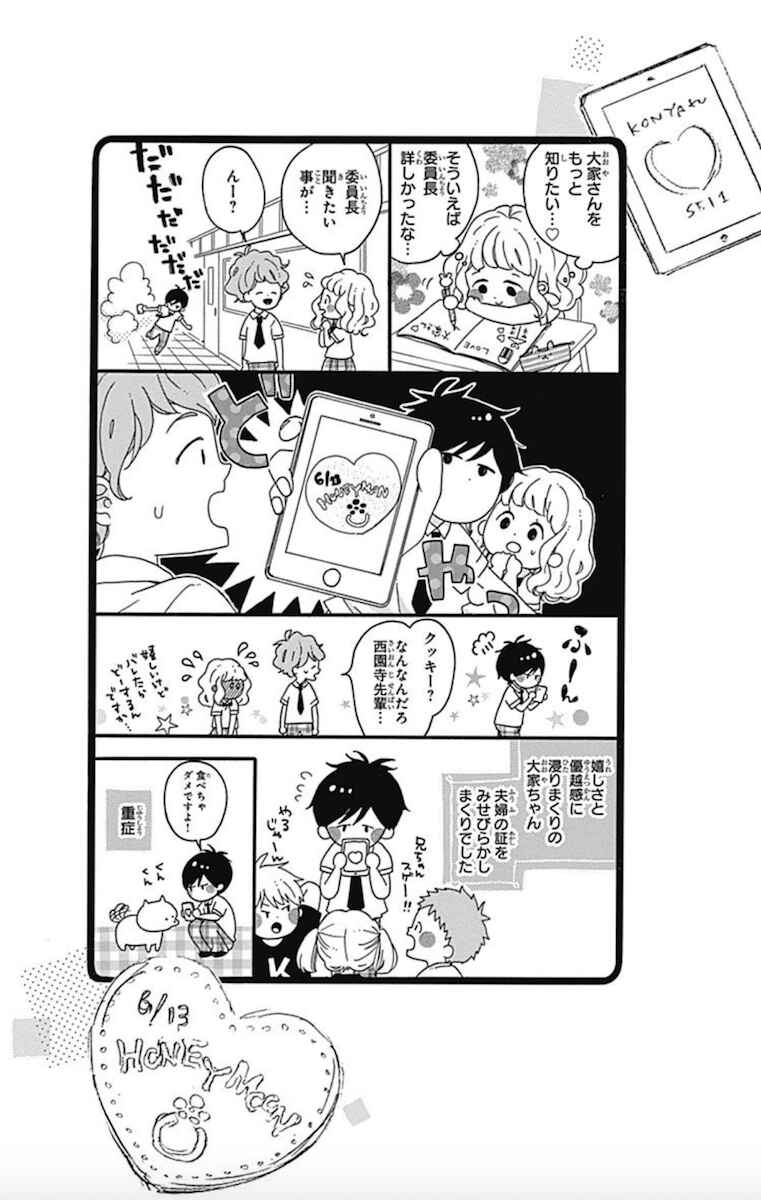 Page 29 Chapter 3 Konyakusei