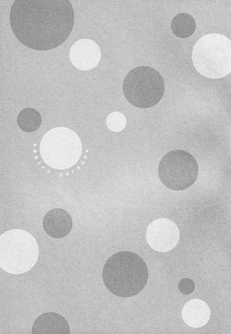 Page 21 Chapter 14 Ameiro Paradox
