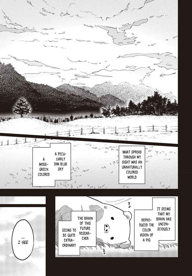 Page 8 Chapter 2 Butareba -The Story of a Man Turned into a Pig-