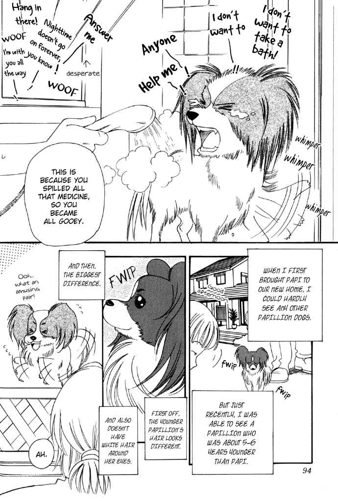 Page 12 Chapter 11 My Little Lover