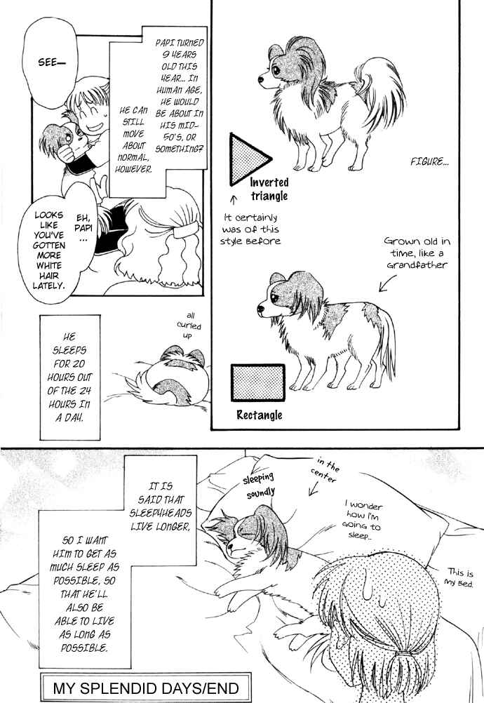 Page 13 Chapter 11 My Little Lover