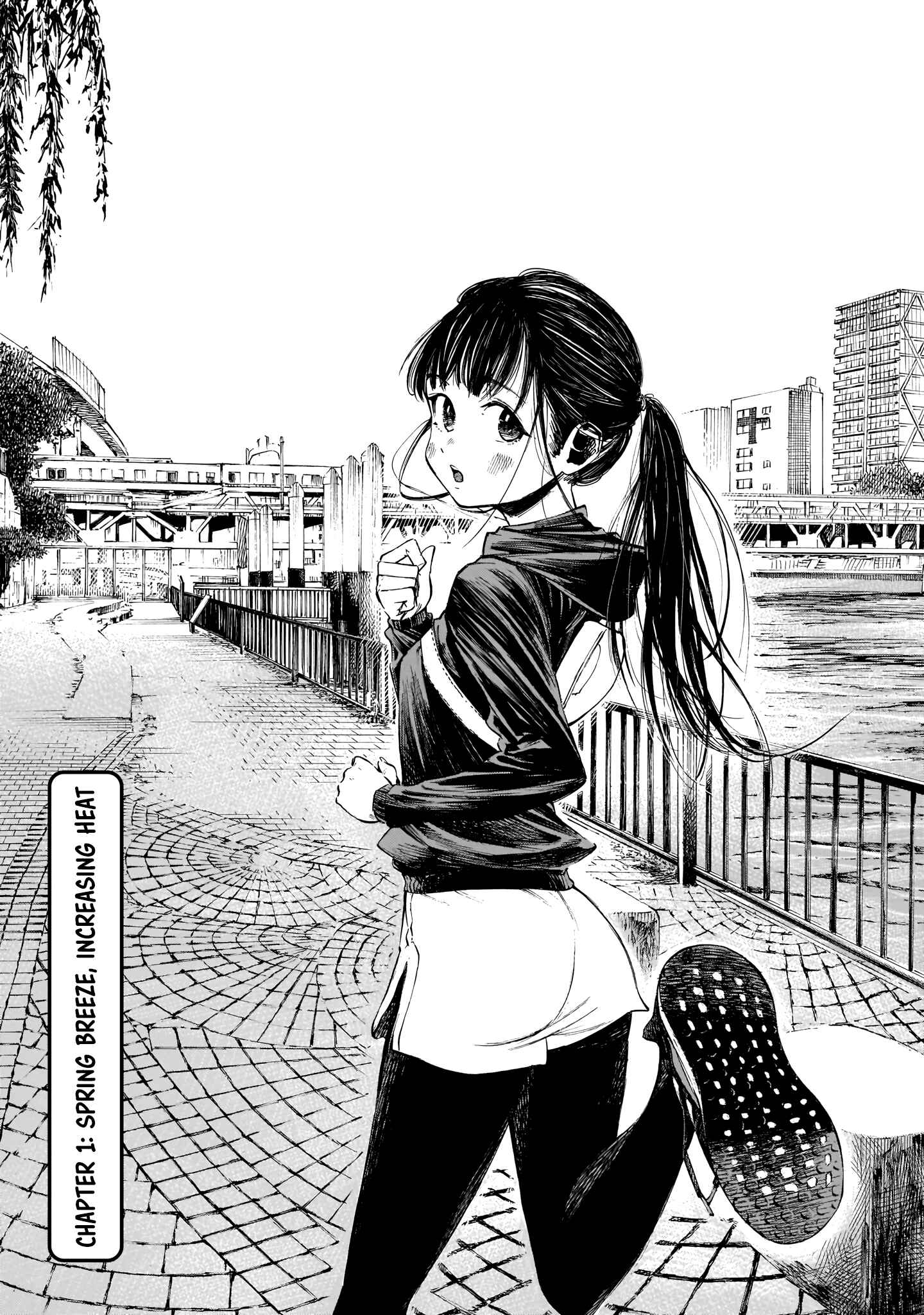 Page 4 Chapter 1 Furoran