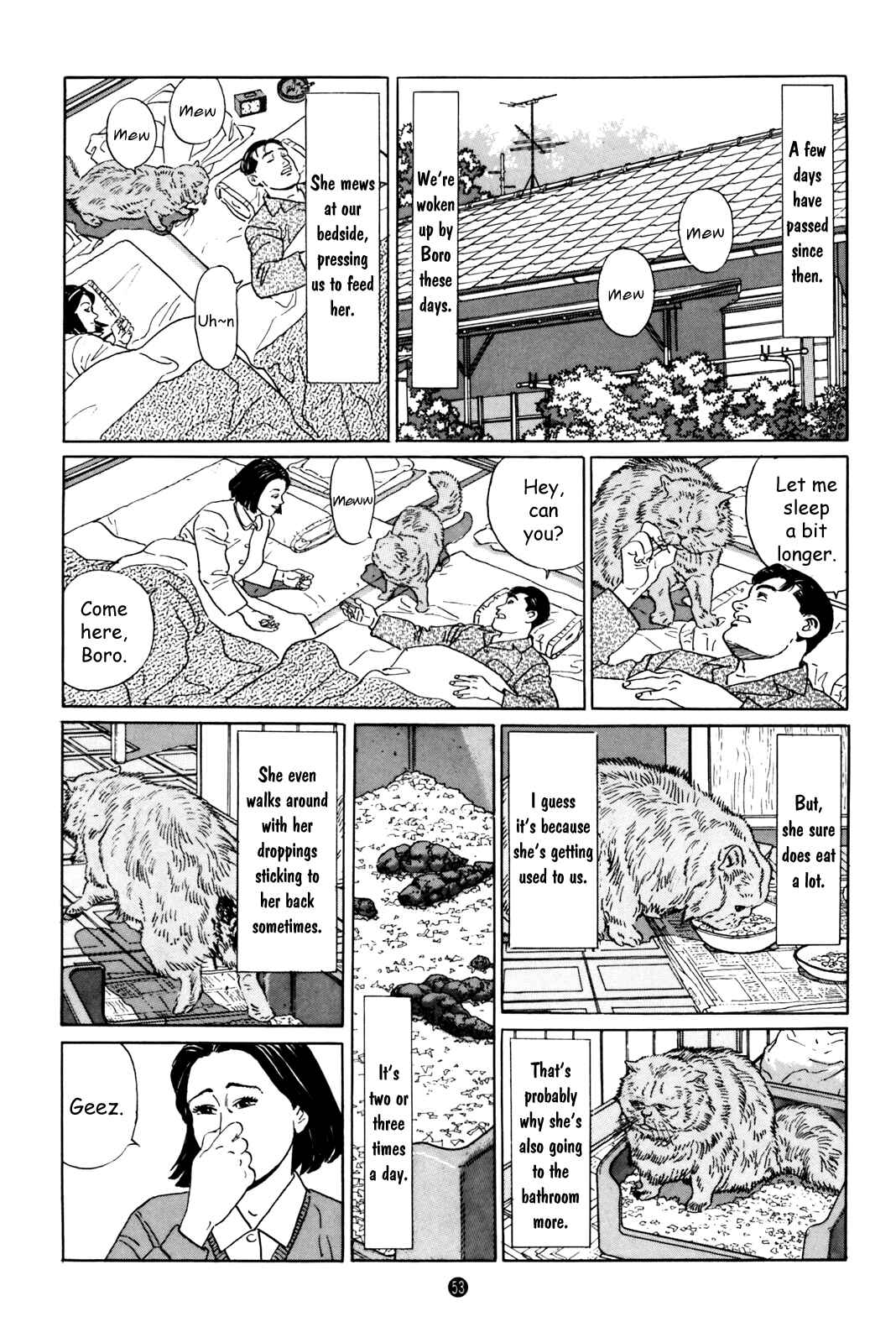 Page 11 Chapter 2 Raising a Dog