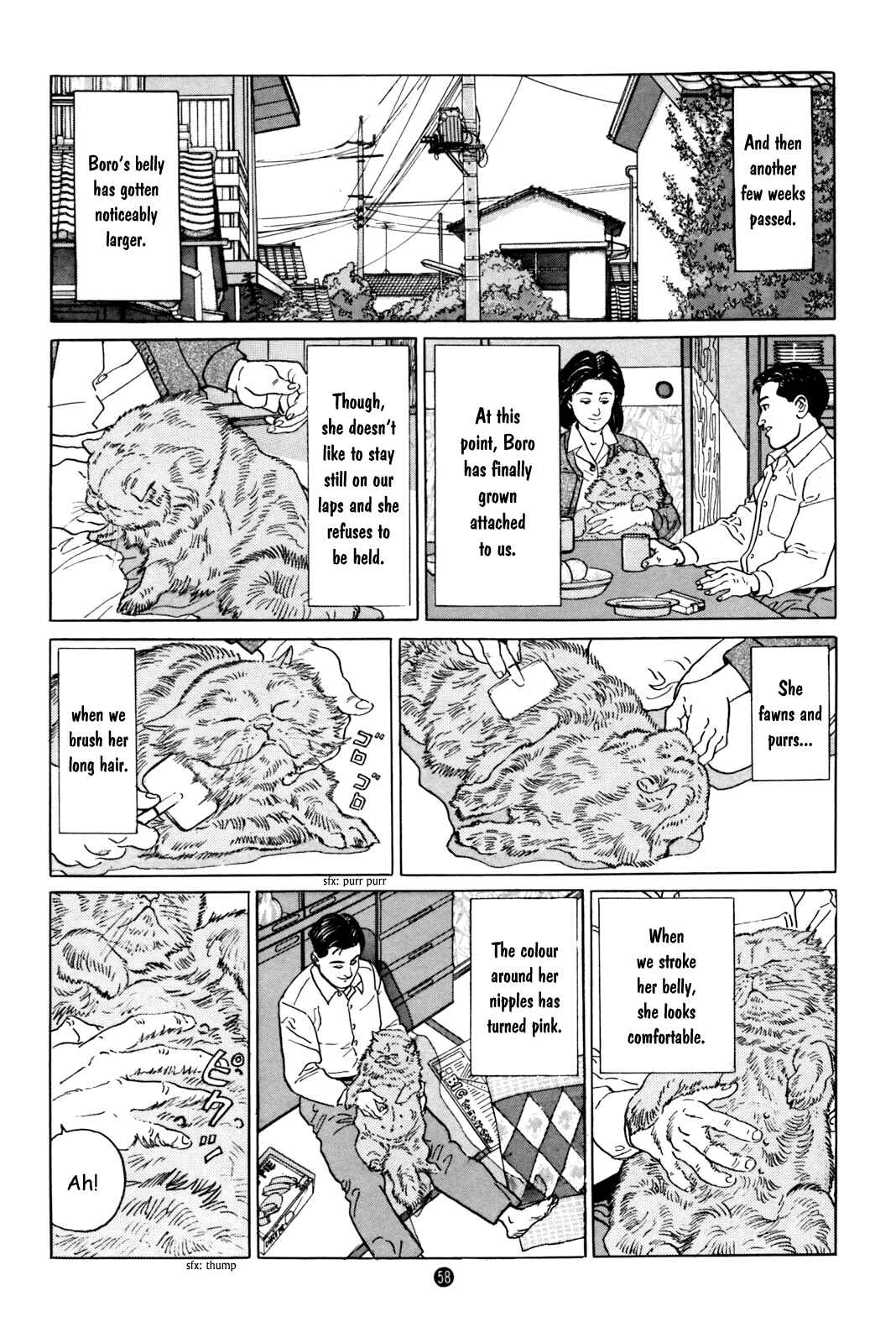 Page 16 Chapter 2 Raising a Dog