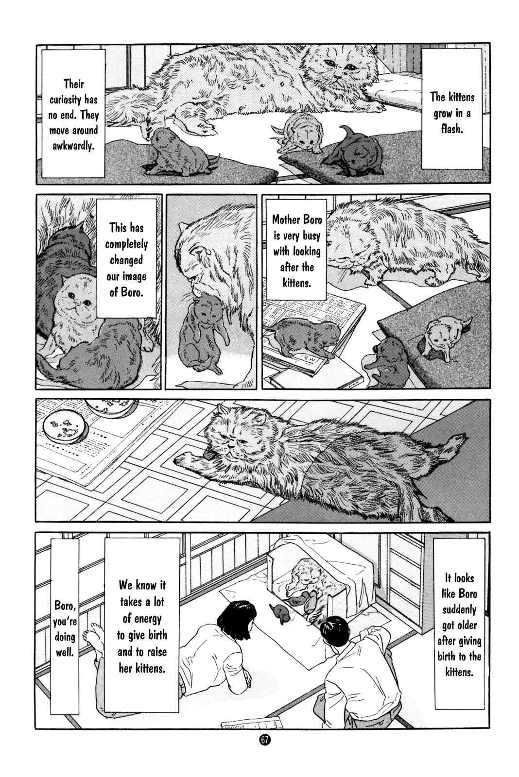 Page 25 Chapter 2 Raising a Dog