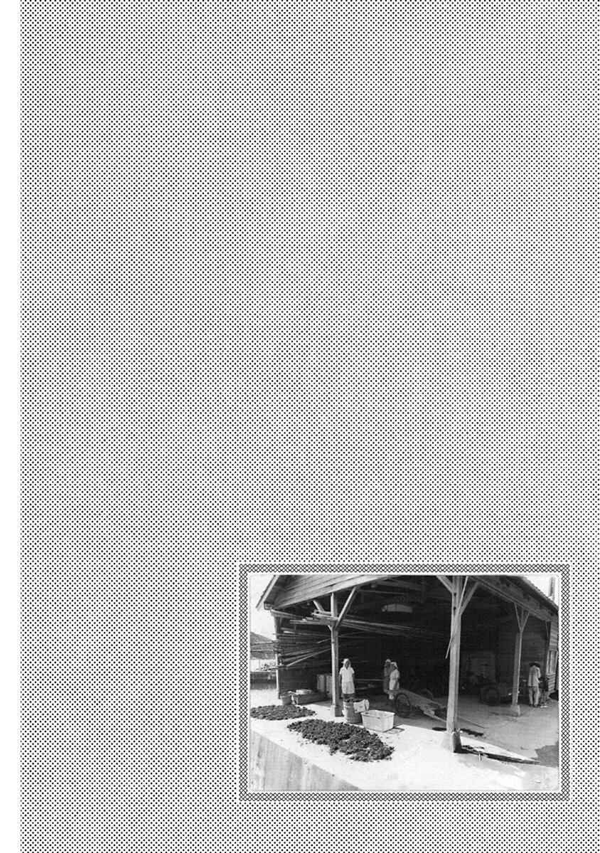 Page 2 Chapter 12 Pillow Fish