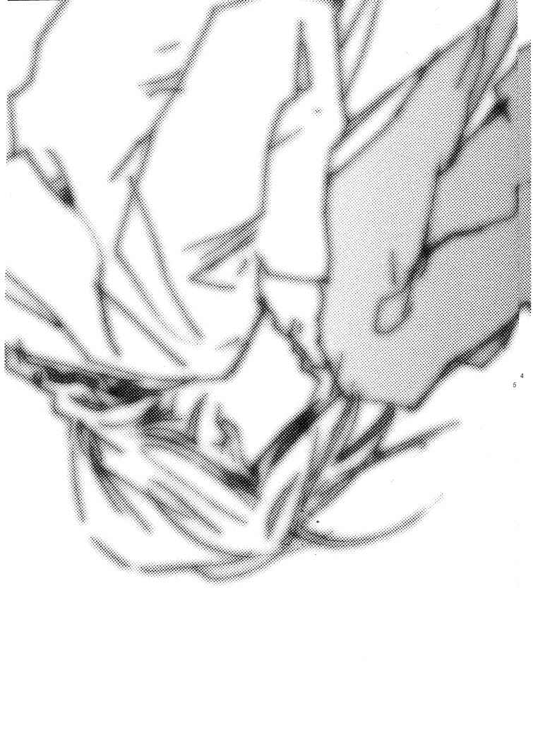 Page 6 Chapter Unknown_38a7 Fullmetal Alchemist - Love Me Tender (Doujinshi)