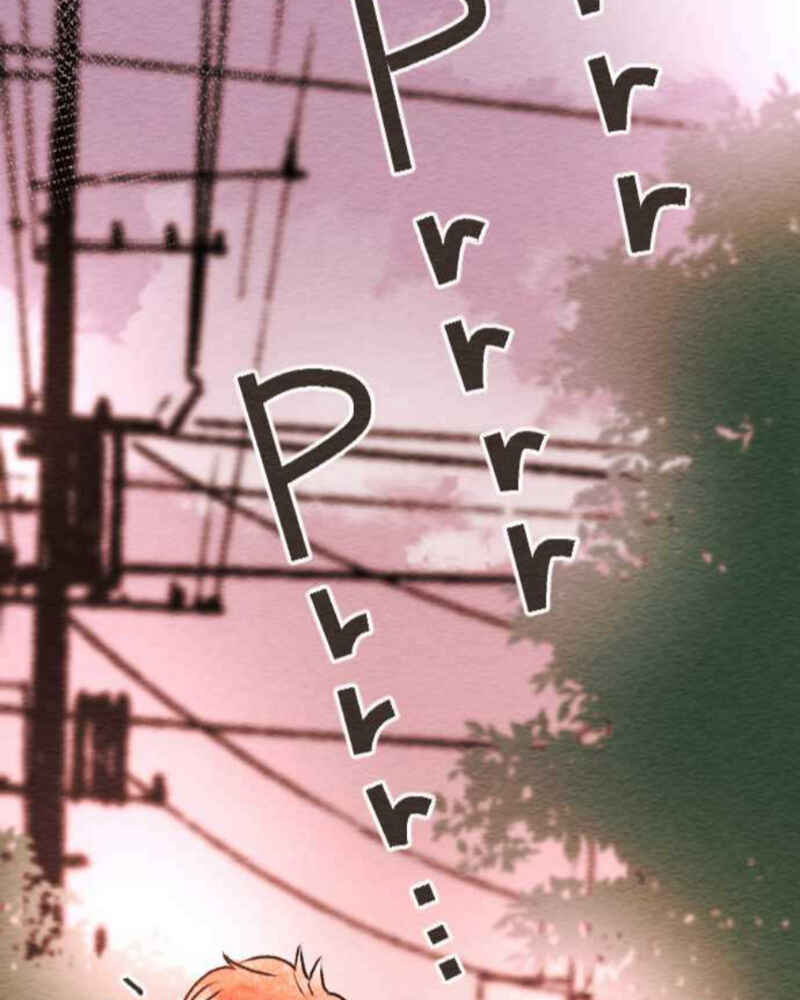 Page 51 Chapter 80 Koe Koi