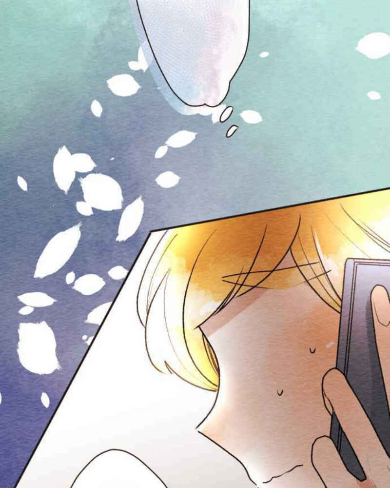 Page 25 Chapter 87 Koe Koi
