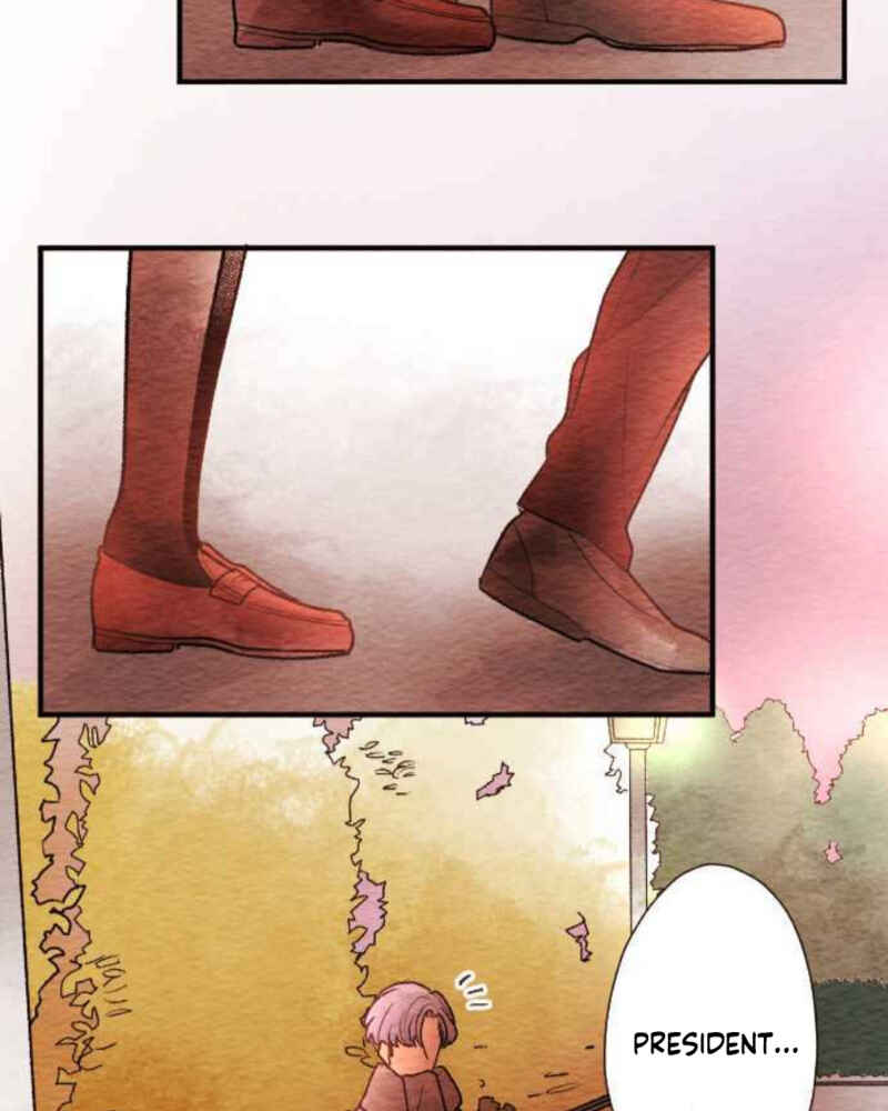 Page 48 Chapter 81 Koe Koi