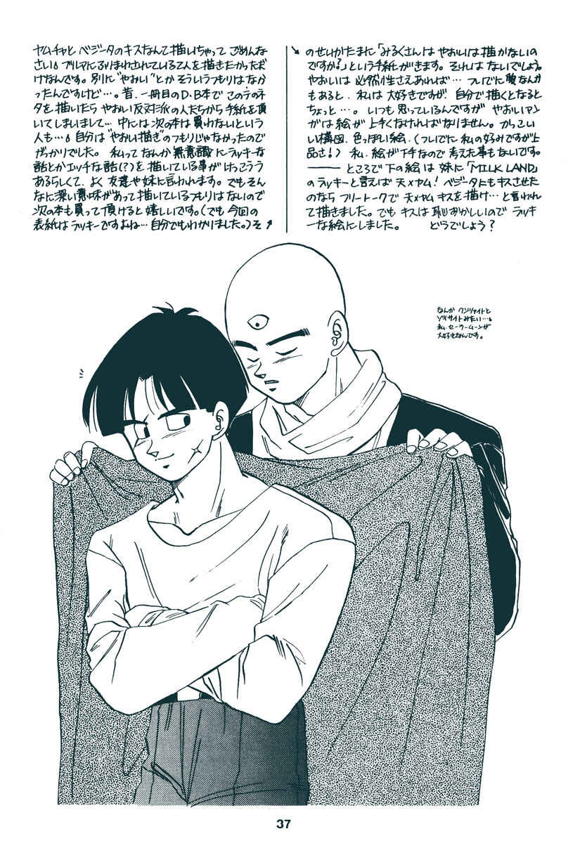 Page 35 Chapter Unknown_7f4e Dragon Ball - Ripple (Doujinshi)