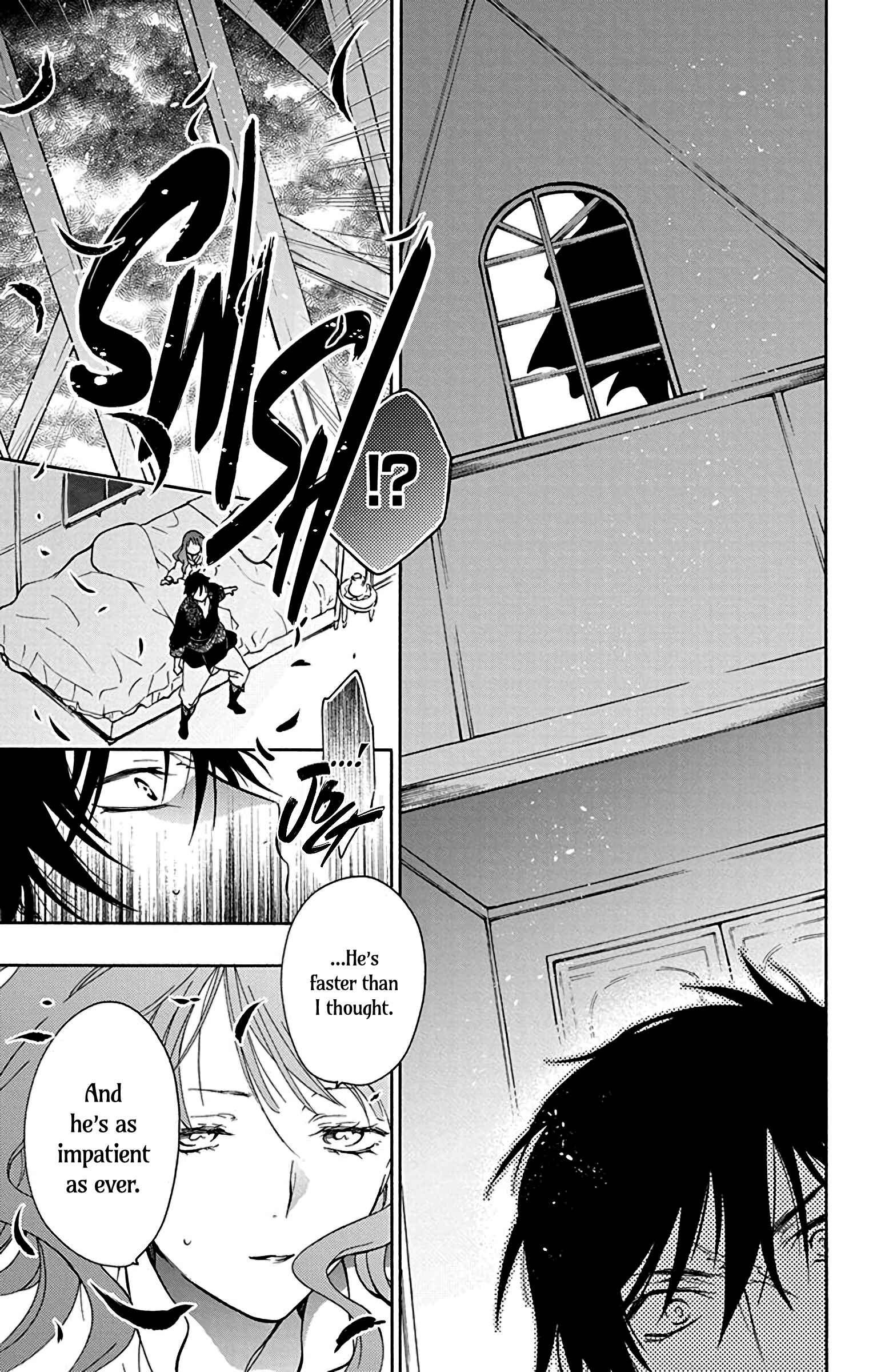 Page 28 Chapter 4 Sirius no Shugosha