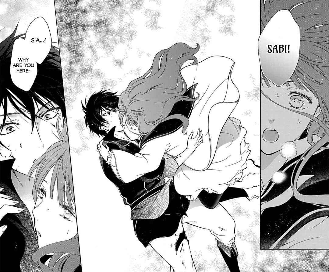 Page 27 Chapter 10 Sirius no Shugosha
