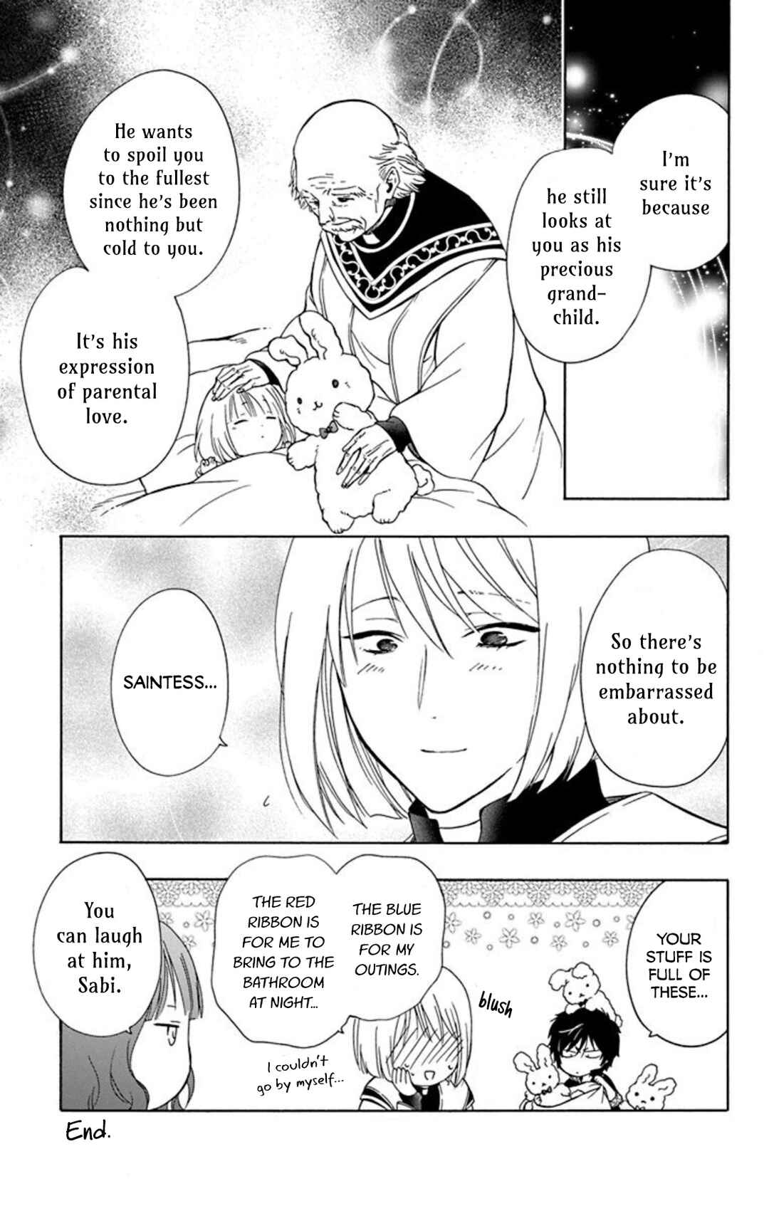 Page 3 Chapter 11.5 Sirius no Shugosha