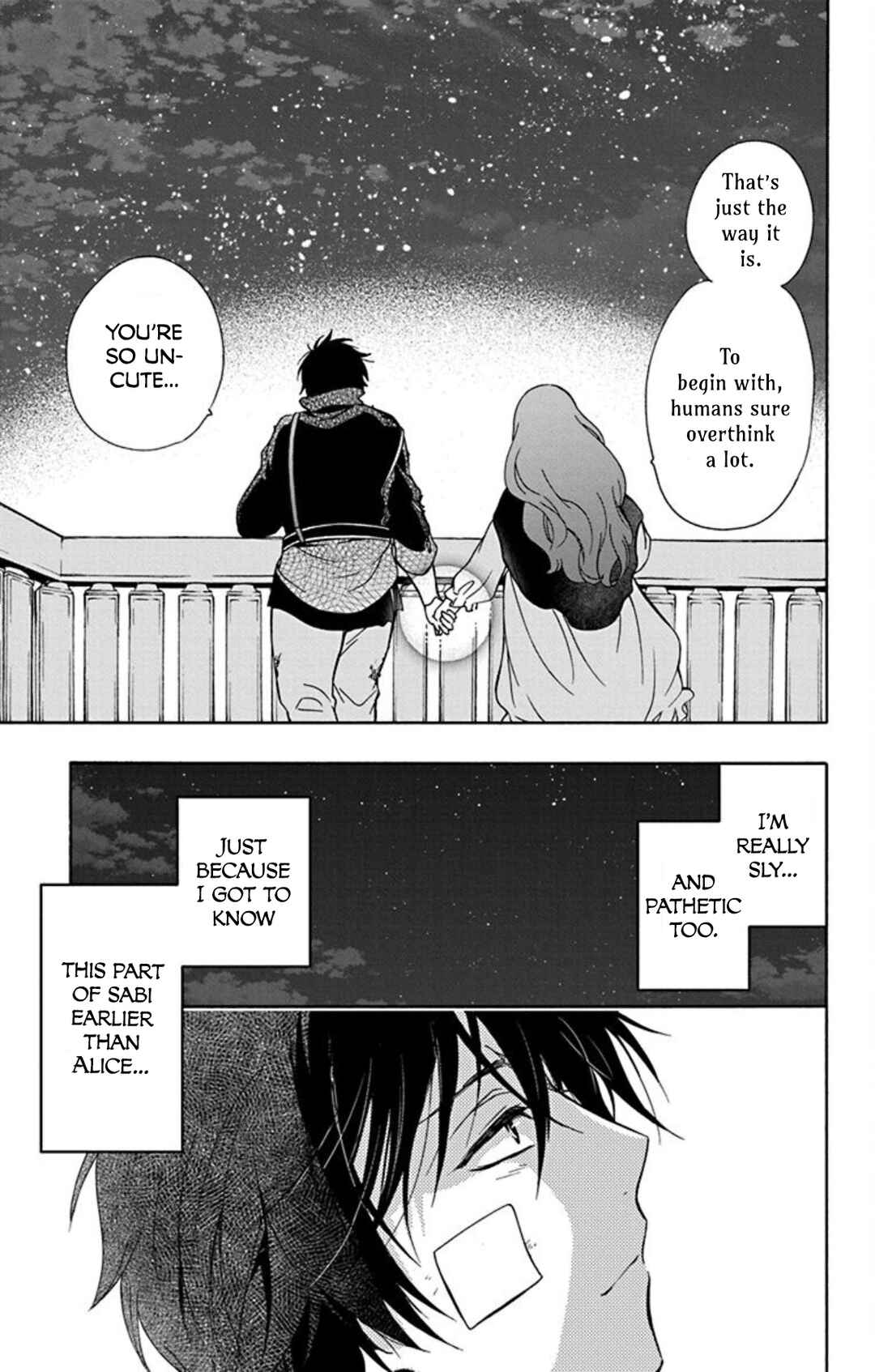 Page 28 Chapter 11 Sirius no Shugosha