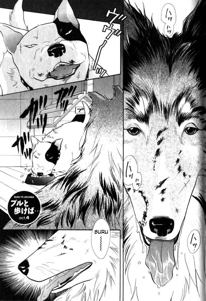 Page 1 Chapter 4 Bull to Arukeba