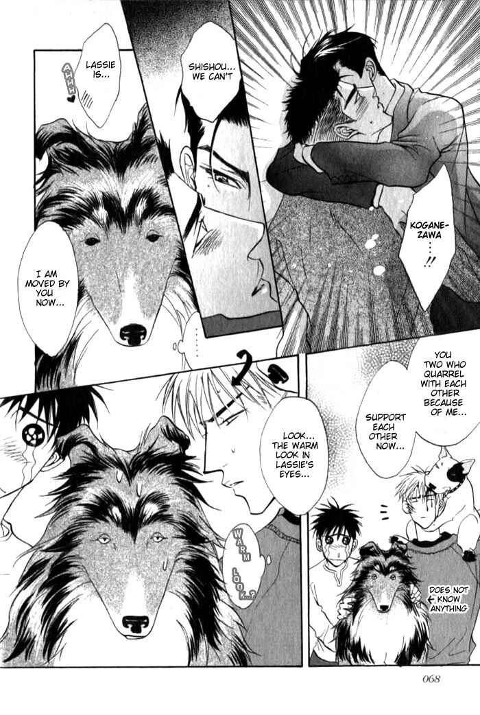 Page 14 Chapter 4 Bull to Arukeba