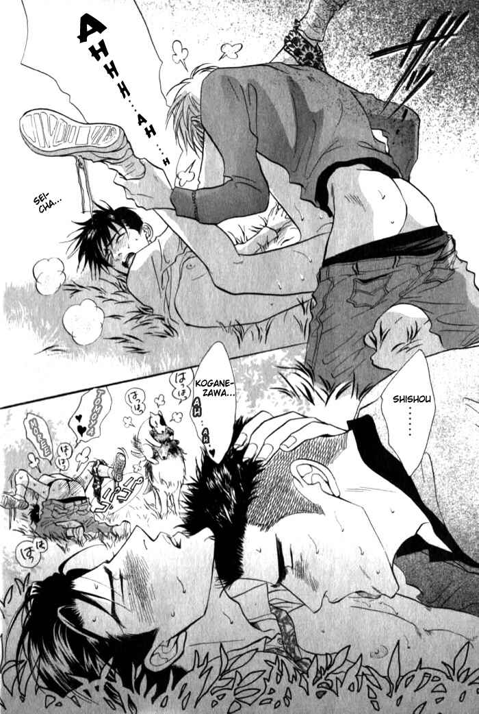 Page 16 Chapter 4 Bull to Arukeba