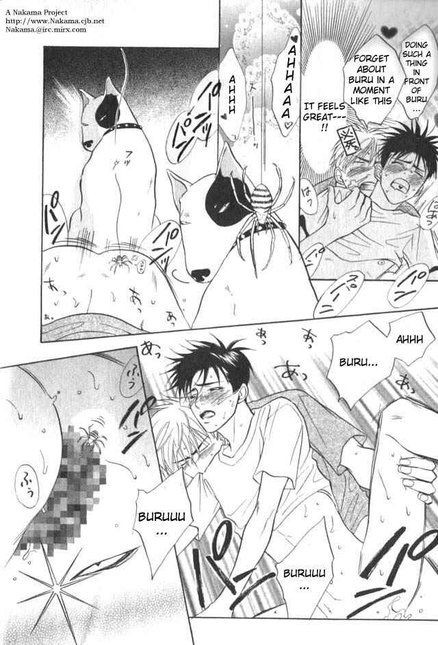 Page 14 Chapter 3 Bull to Arukeba