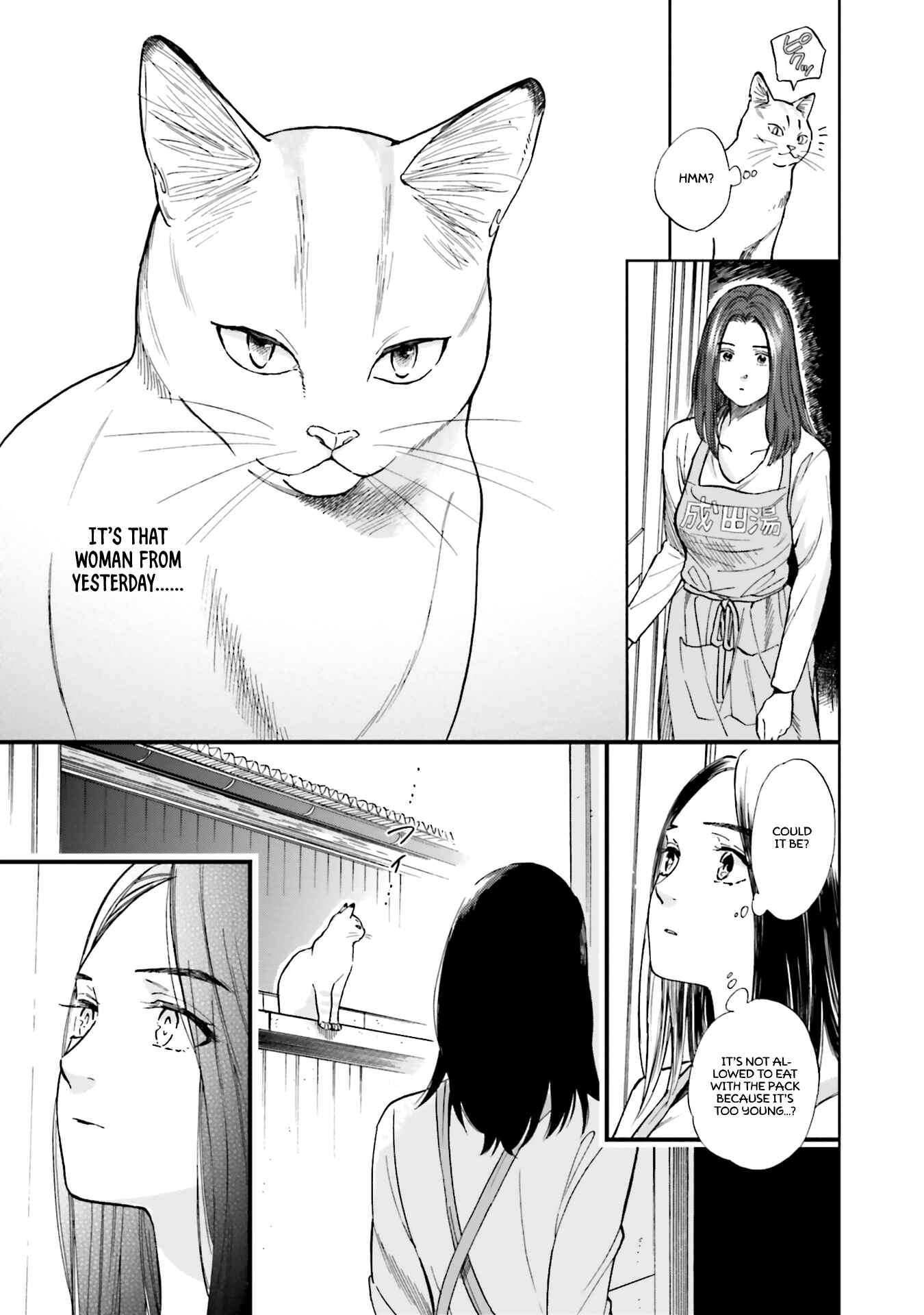 Page 17 Chapter 2 50 senchi no Isshou