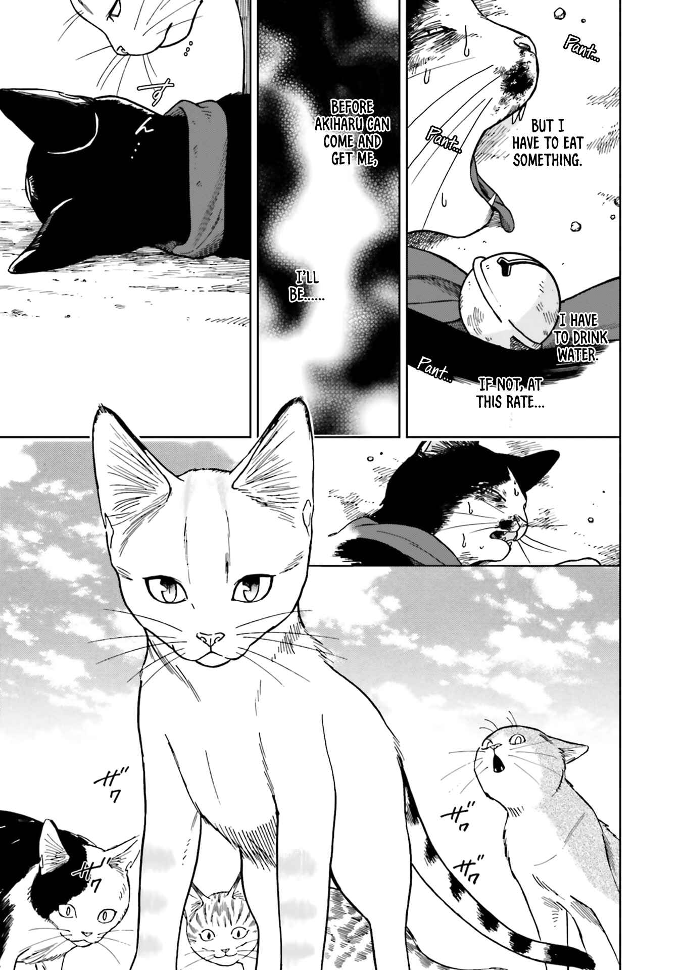 Page 13 Chapter 5 50 senchi no Isshou