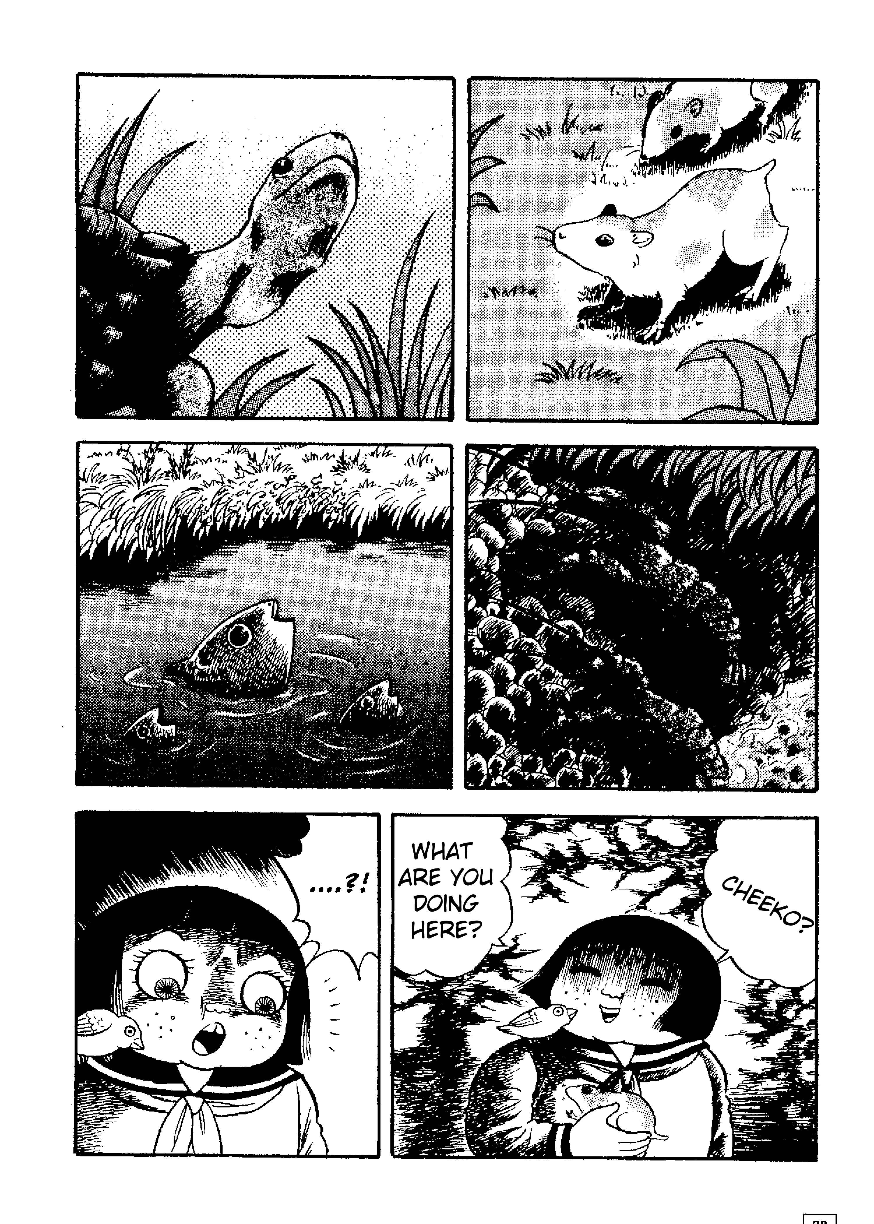 Page 13 Chapter 2 M Collection