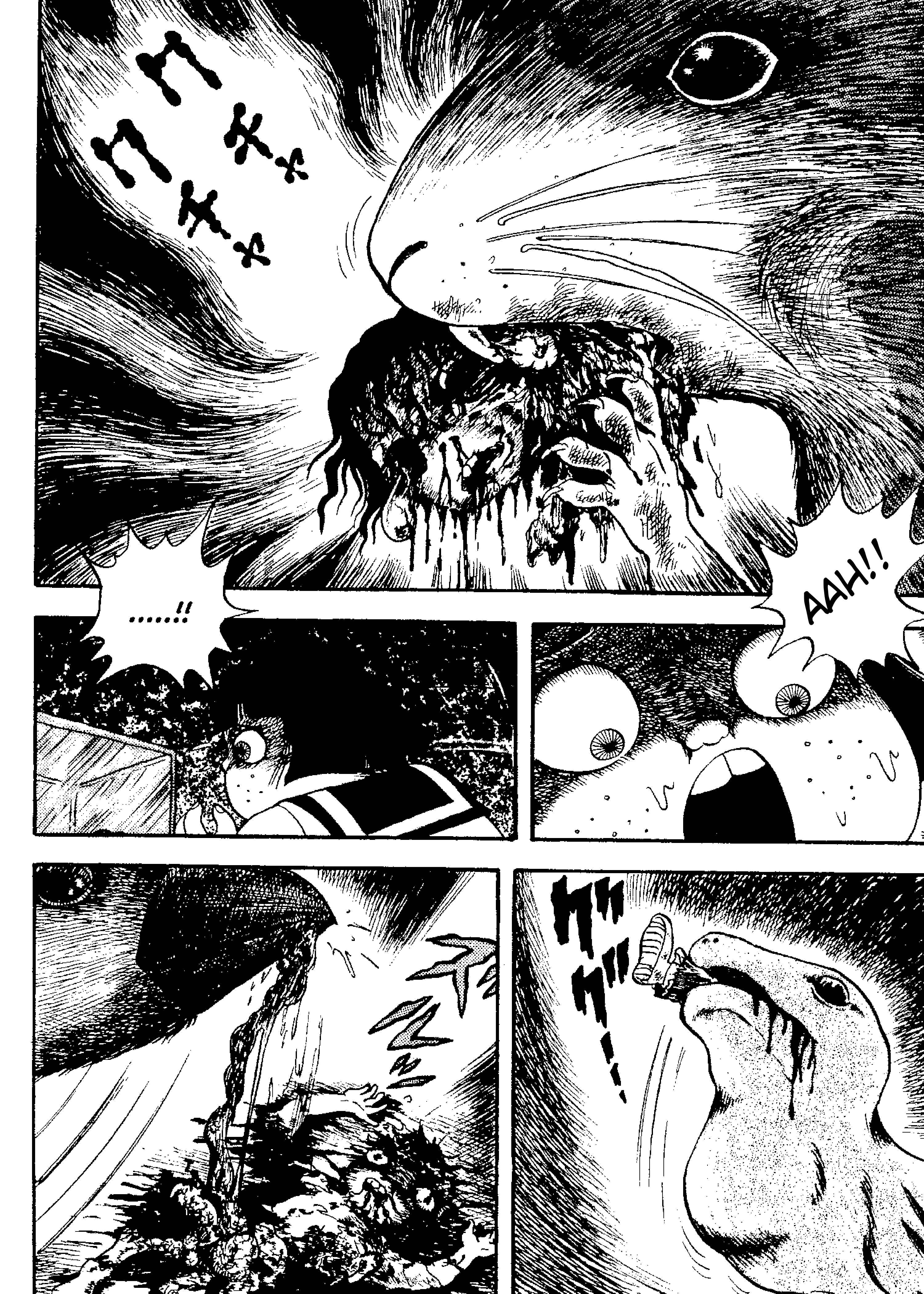 Page 21 Chapter 2 M Collection