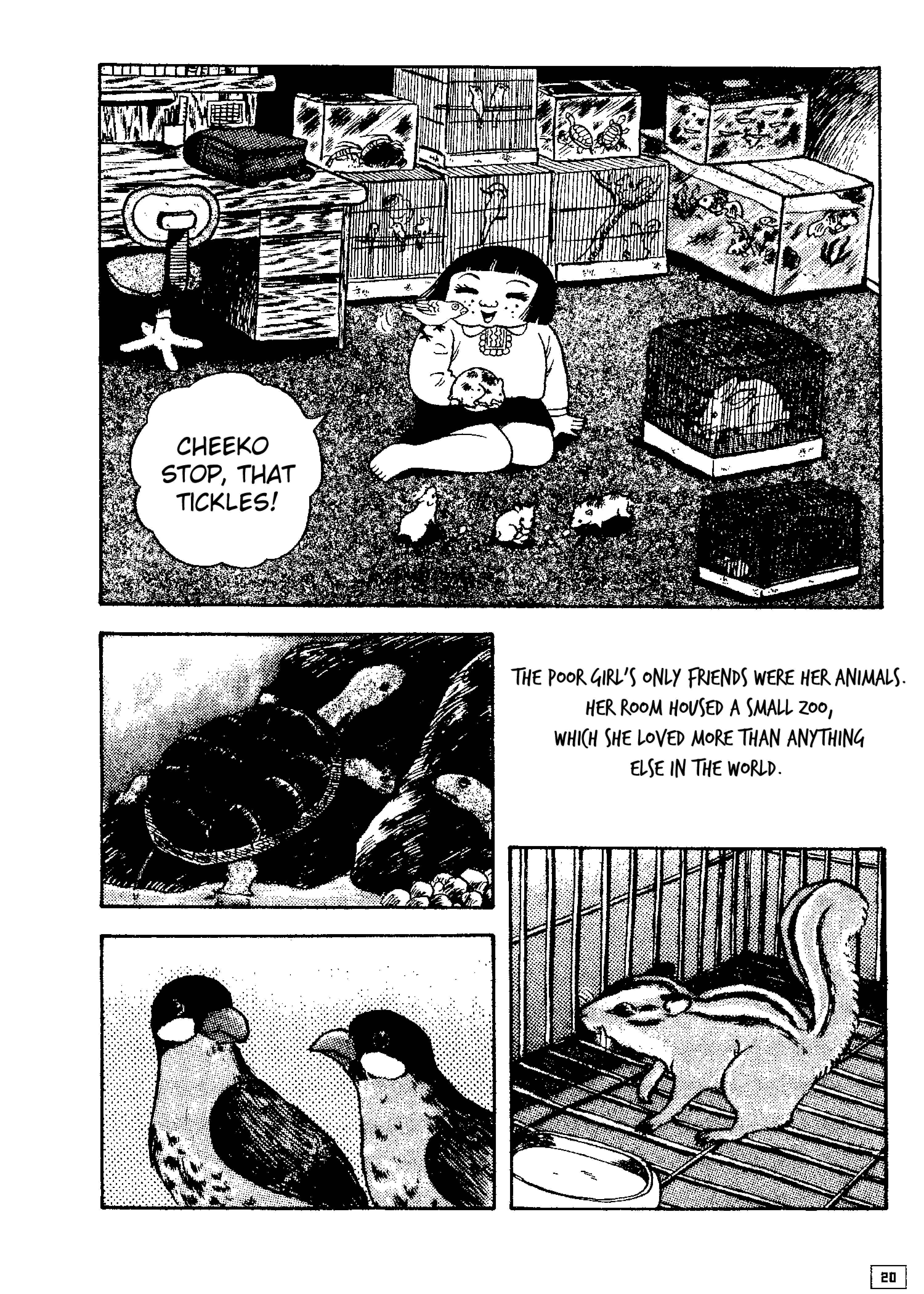Page 6 Chapter 2 M Collection