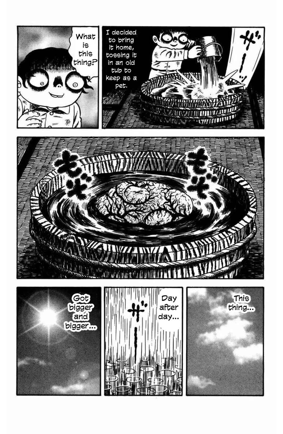 Page 7 Chapter 12 M Collection