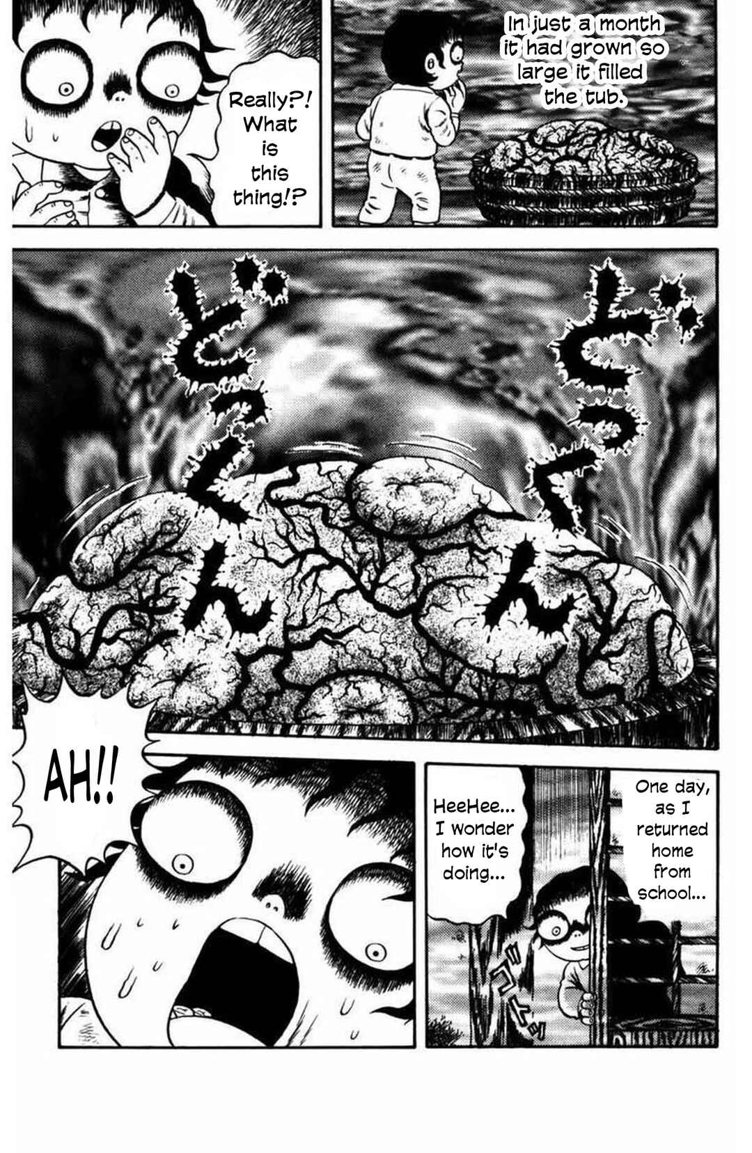 Page 8 Chapter 12 M Collection