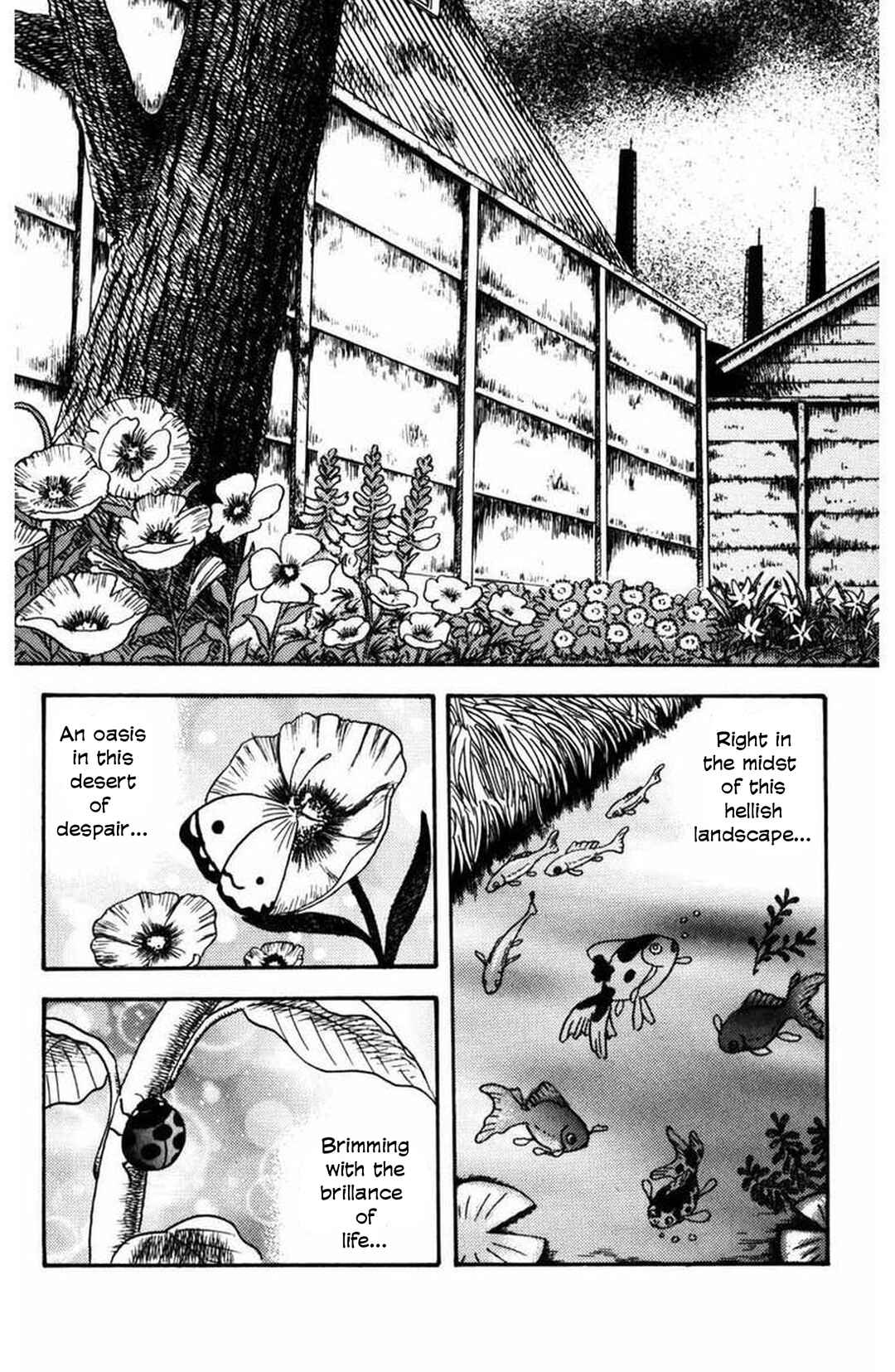 Page 12 Chapter 11 M Collection