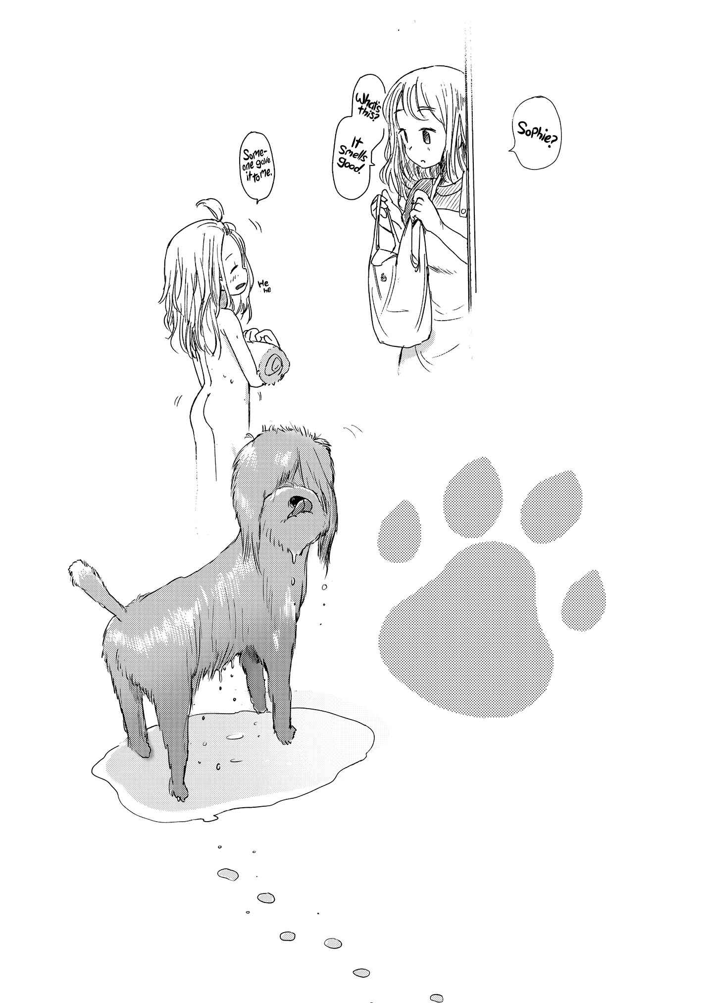 Page 29 Chapter Unknown_3518 Dog Walking