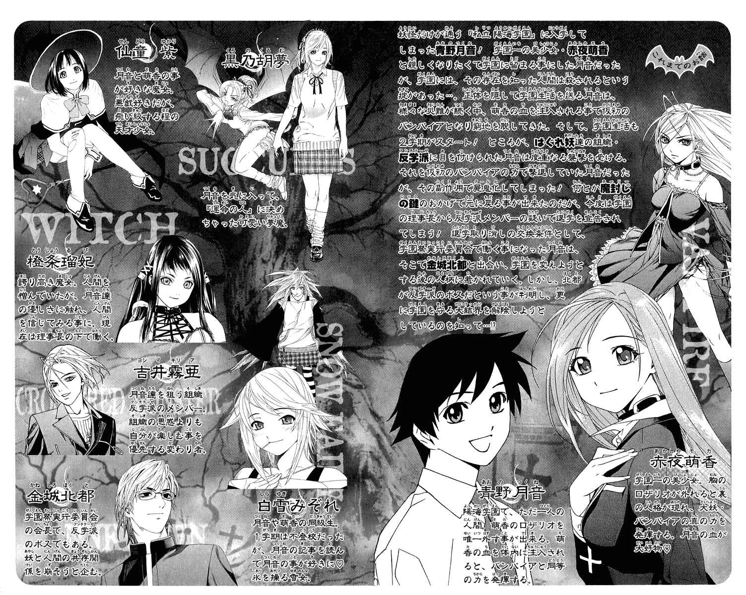 Page 5 Chapter 33 Rosario to Vampire