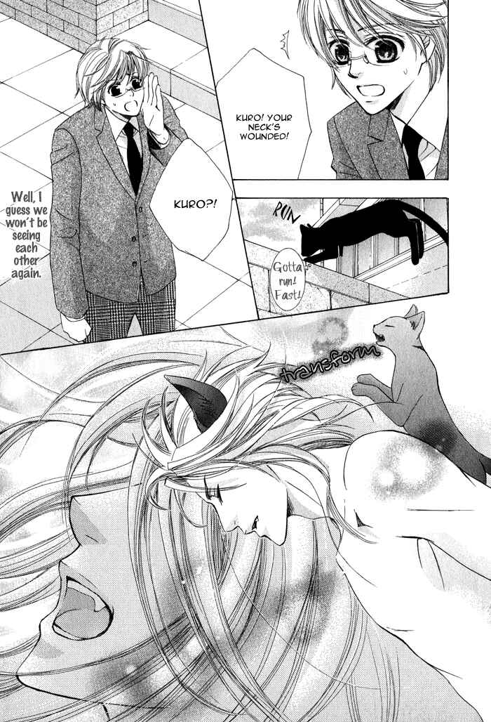 Page 8 Chapter 6 Neko★Mata