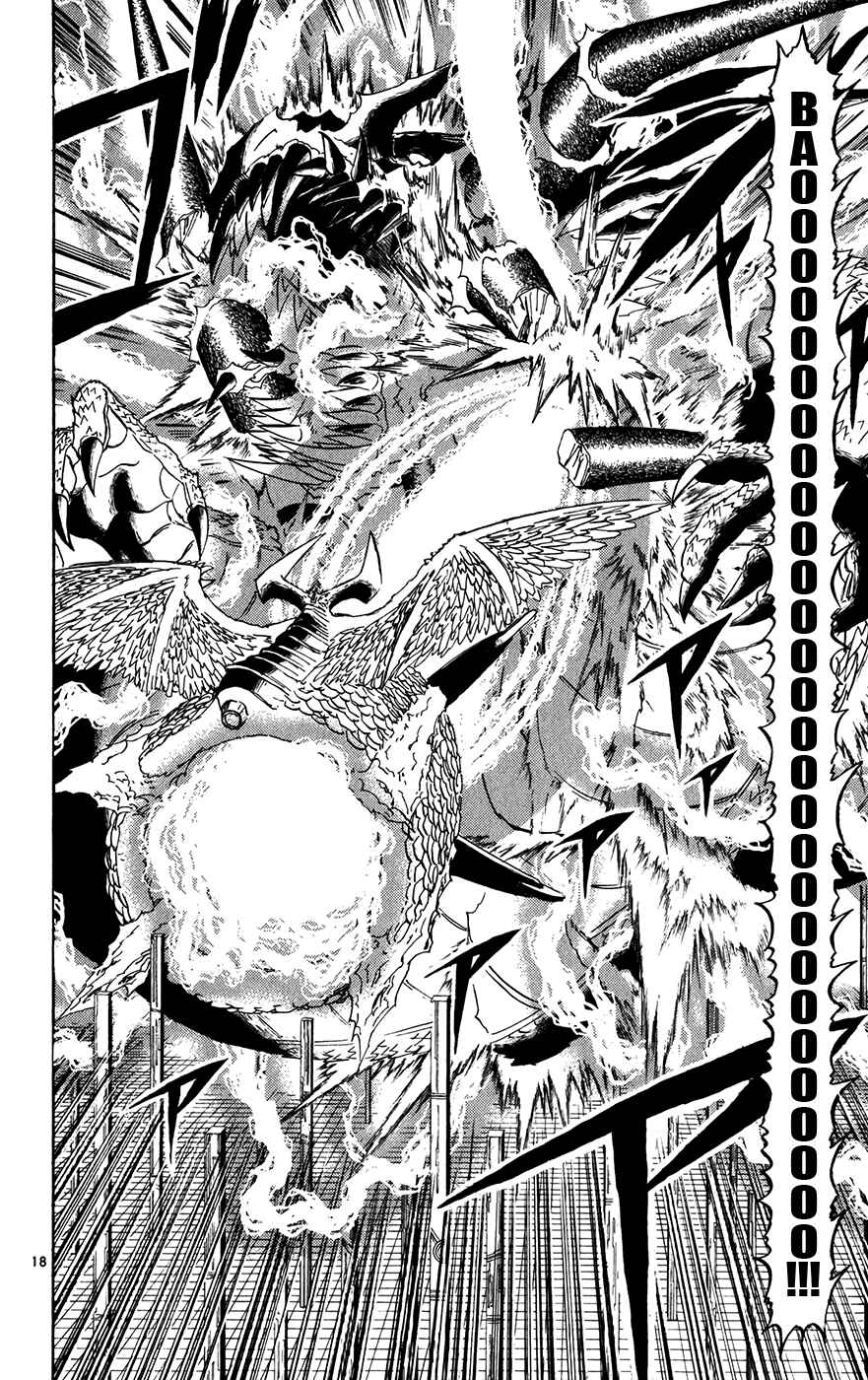 Page 17 Chapter 262 Zatch Bell!!
