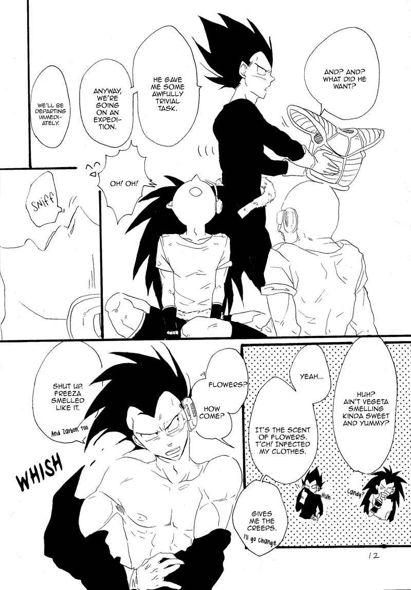 Page 10 Chapter Unknown_6713 Dragon Ball - Makeinu no Hana (Doujinshi)