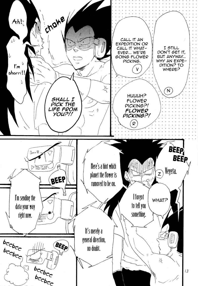 Page 11 Chapter Unknown_6713 Dragon Ball - Makeinu no Hana (Doujinshi)