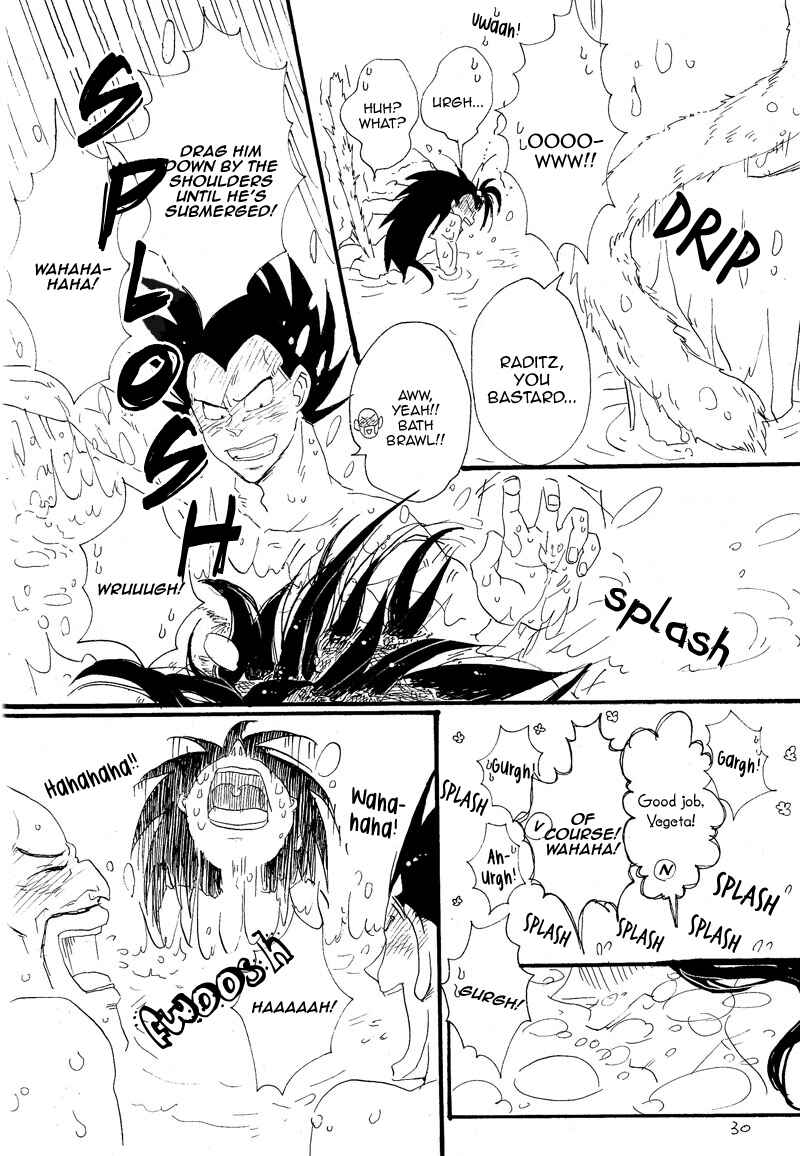Page 28 Chapter Unknown_6713 Dragon Ball - Makeinu no Hana (Doujinshi)