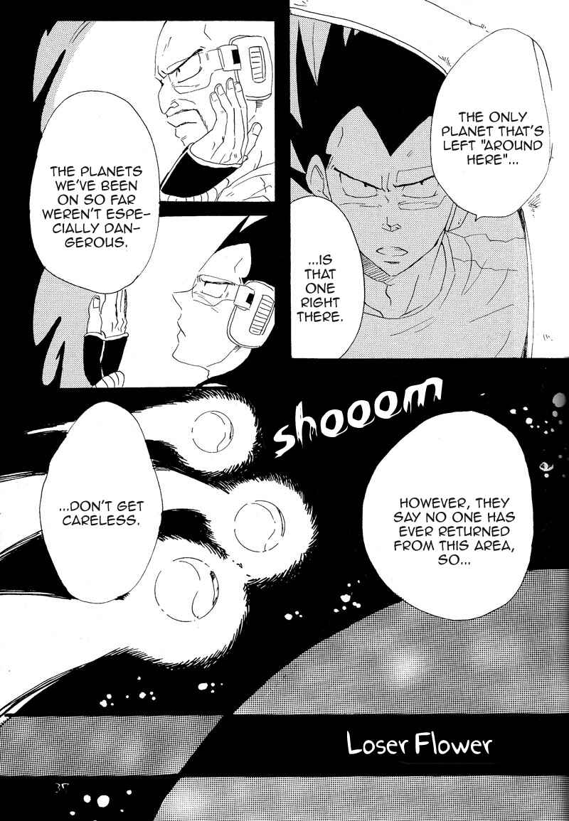 Page 34 Chapter Unknown_6713 Dragon Ball - Makeinu no Hana (Doujinshi)
