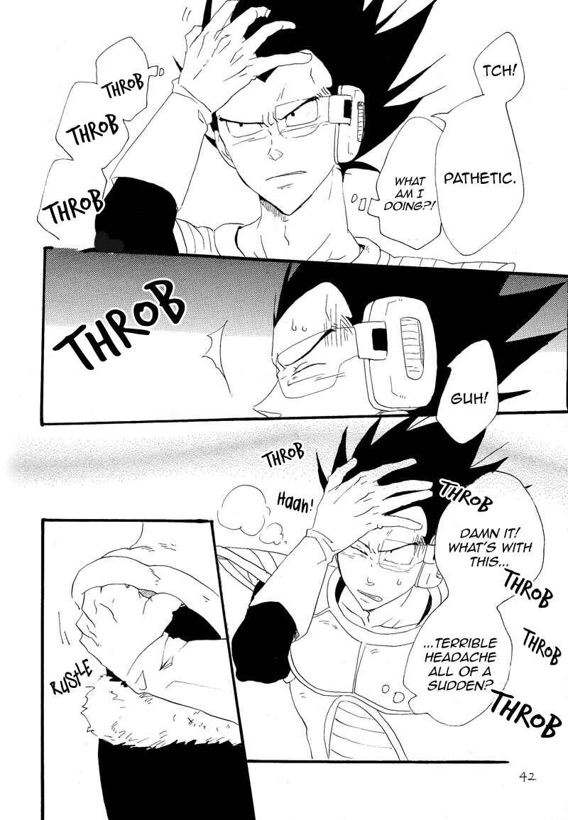 Page 39 Chapter Unknown_6713 Dragon Ball - Makeinu no Hana (Doujinshi)