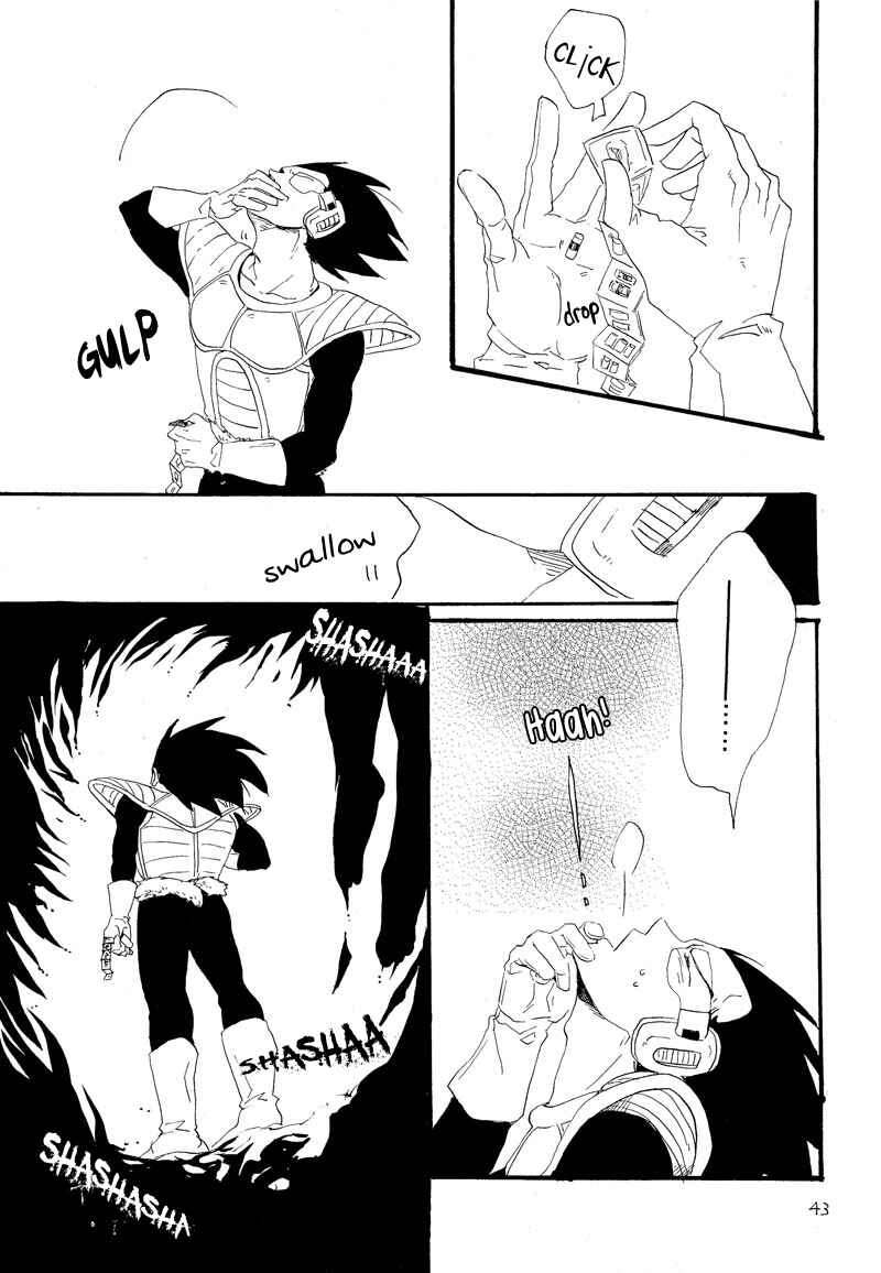Page 40 Chapter Unknown_6713 Dragon Ball - Makeinu no Hana (Doujinshi)