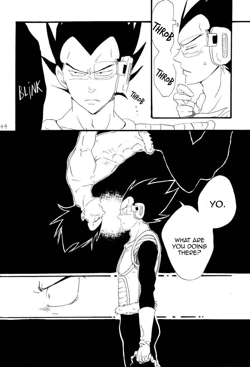 Page 41 Chapter Unknown_6713 Dragon Ball - Makeinu no Hana (Doujinshi)