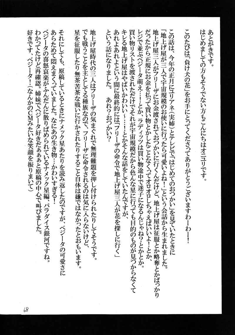 Page 65 Chapter Unknown_6713 Dragon Ball - Makeinu no Hana (Doujinshi)